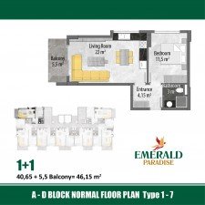 5edb4e8e2e (1).jpg